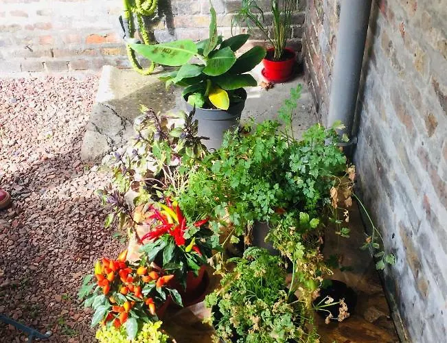 Le 61 Bis Hébergement de vacances *